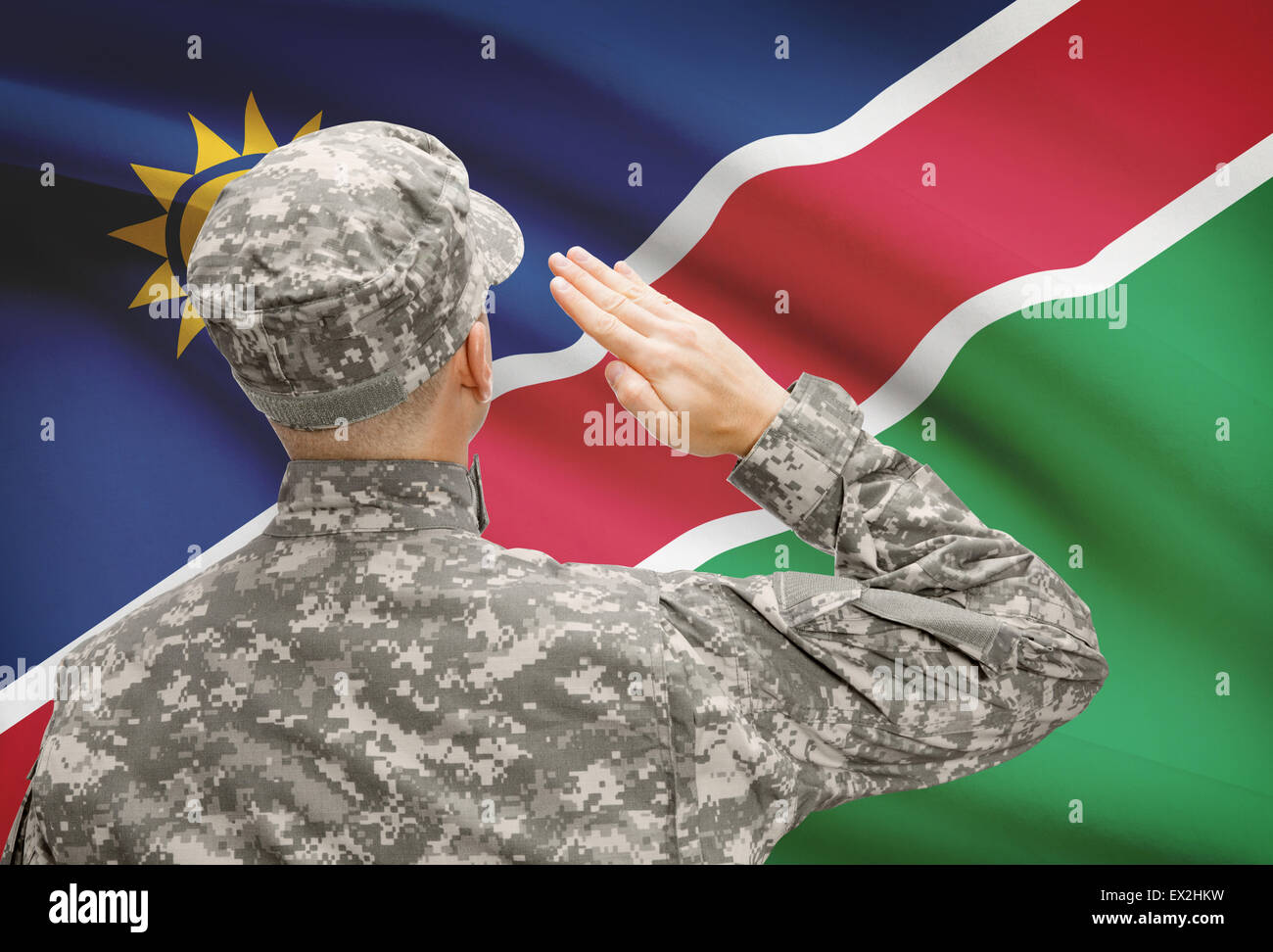 Les forces militaires nationales avec drapeau sur le contexte de la série conceptuelle - Namibie Banque D'Images