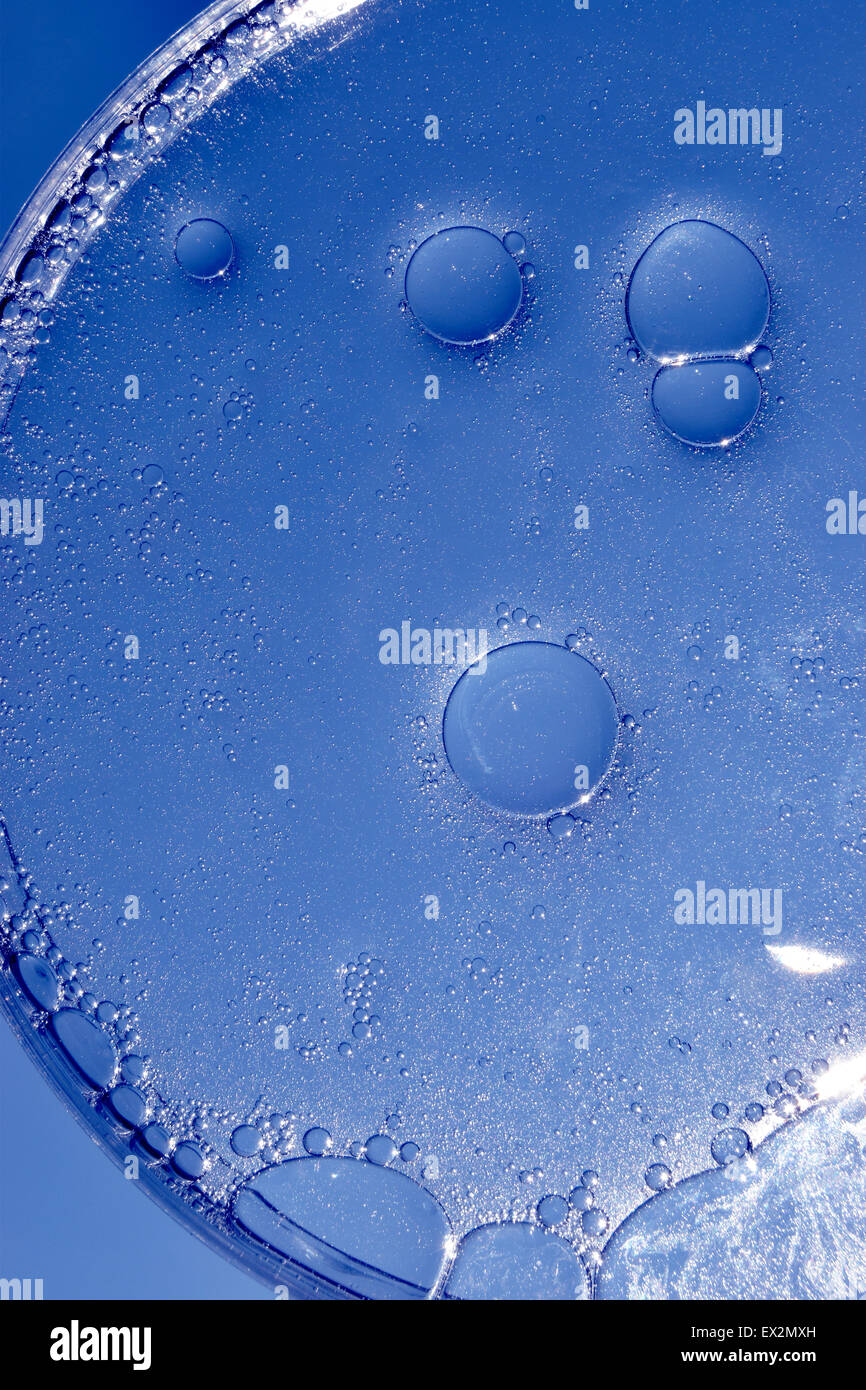 L'eau et l'huile dans la boîte de pétri, sur fond bleu Banque D'Images