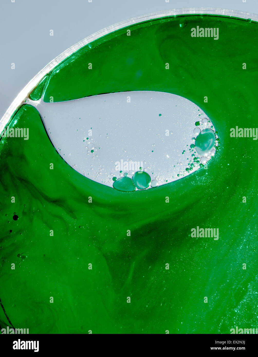 La chimie verte dans la boîte de pétri, Close up avec fond bleu Banque D'Images