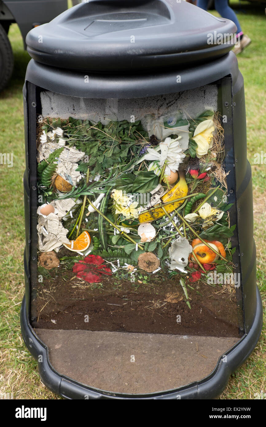 Découper à l'intérieur du composteur Le compostage recycler Banque D'Images