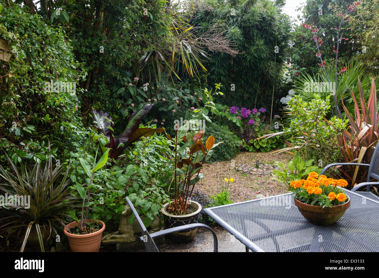 Partie d'un petit, densément plantés, exotique, jardin à thème dans la région de Plymouth, UK Banque D'Images