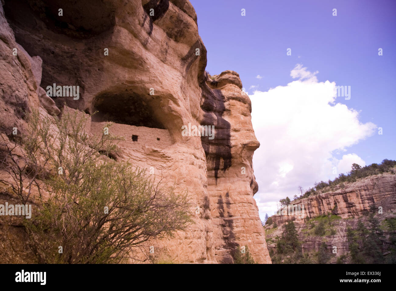 Gila Cliff dwellings National Monument préserve les structures en pierre et mortier construit dans des cavernes naturelles par la culture Mogollon. Banque D'Images