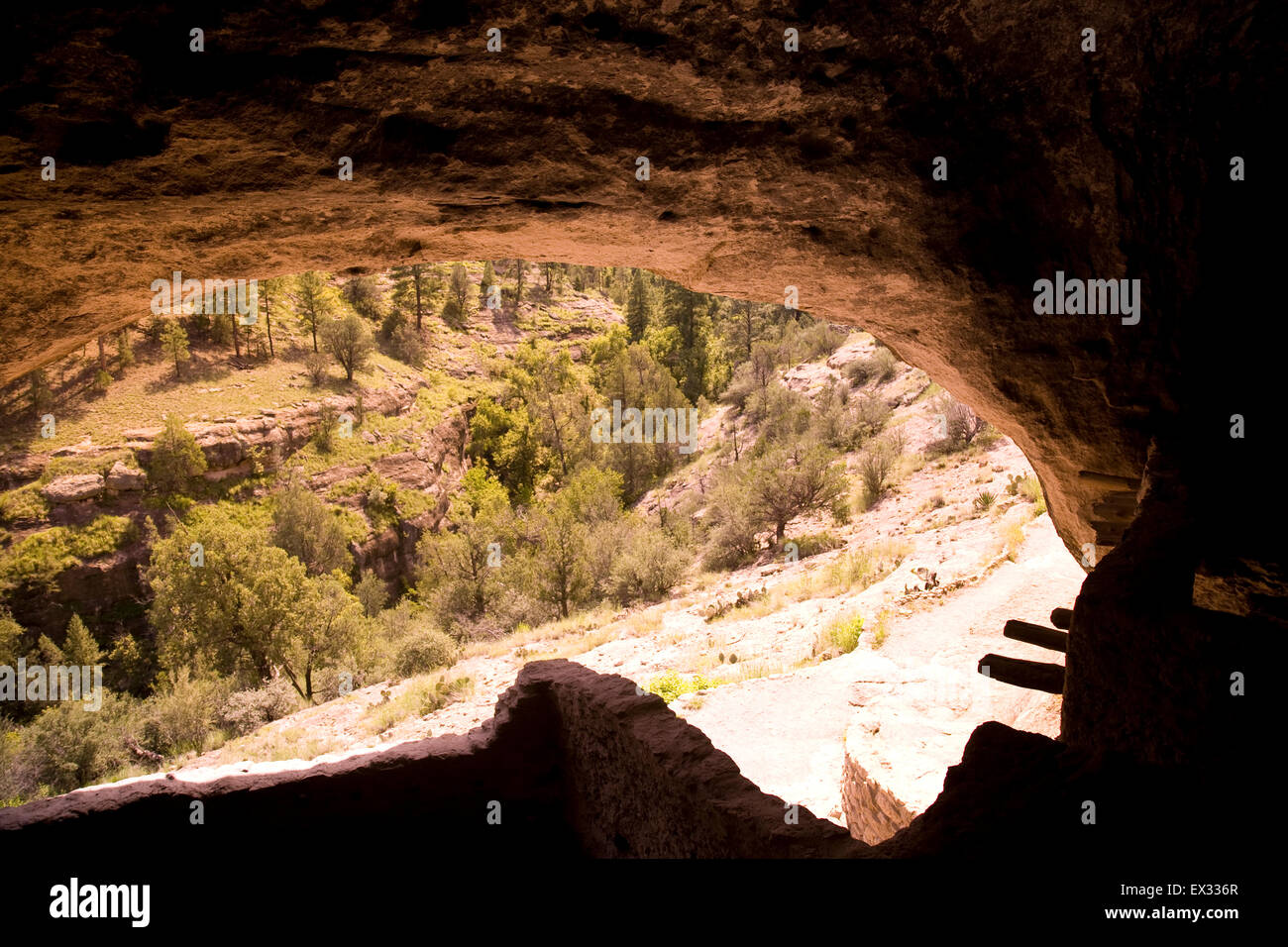 Gila Cliff dwellings National Monument préserve les structures en pierre et mortier construit dans des cavernes naturelles par la culture Mogollon. Banque D'Images
