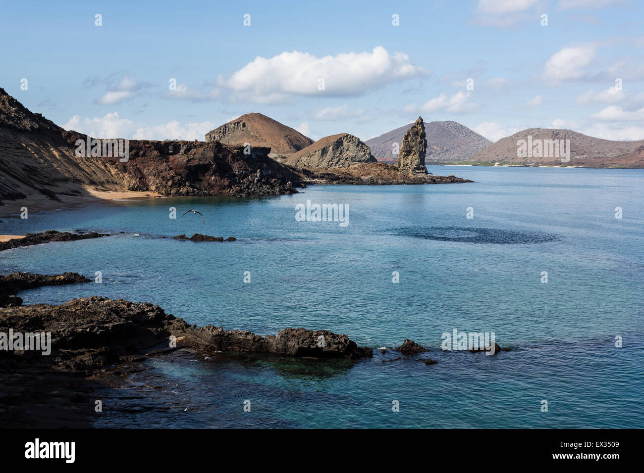 Un poisson appât ball crée un modèle circulaire sur la surface de l'océan près de Pinnacle Rock, Isla Bartolomé dans les îles Galapagos. Banque D'Images