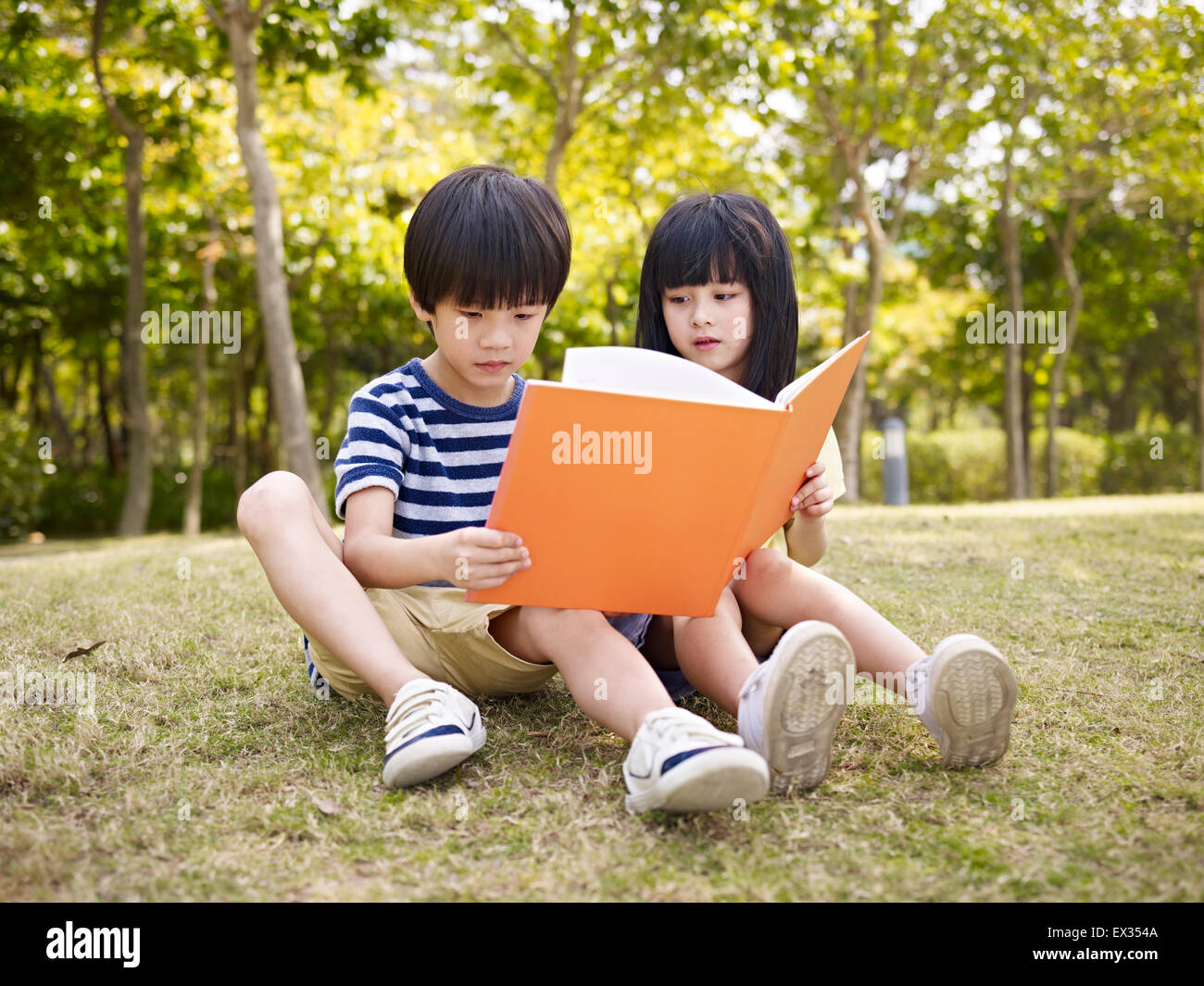 Asian boy and girl reading dans un parc. Banque D'Images