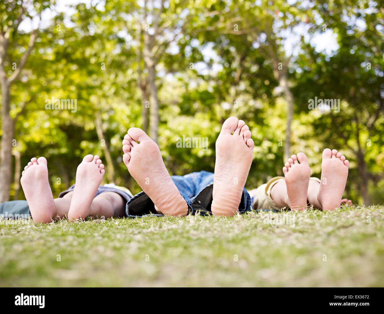 famille heureuse Banque D'Images