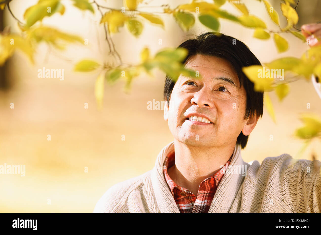 Hauts homme japonais appréciant les feuilles d'automne dans un parc de la ville Banque D'Images