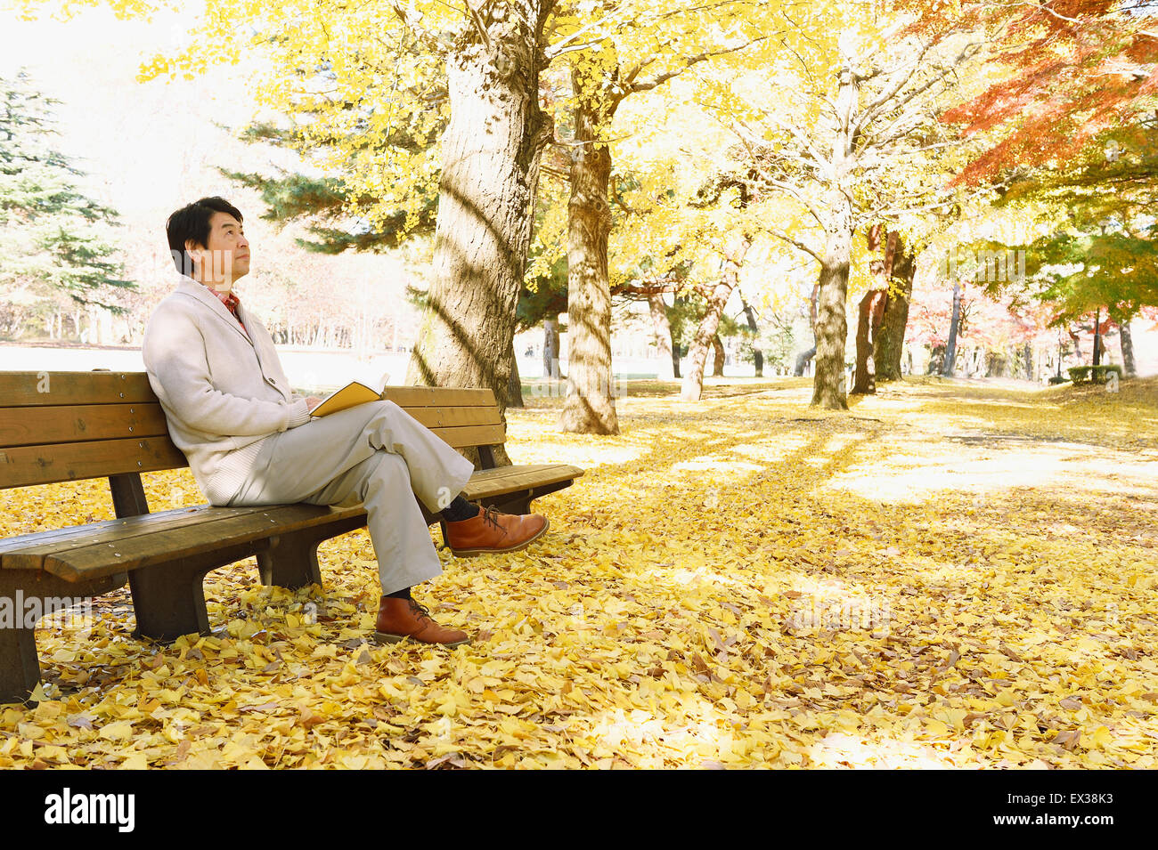 Hauts homme japonais assis sur un banc avec un livre dans un parc de la ville à l'automne Banque D'Images