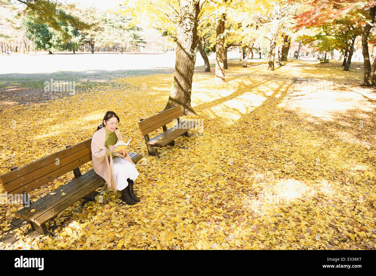 Japonais Senior femme assise sur un banc avec un livre dans un parc de la ville à l'automne Banque D'Images