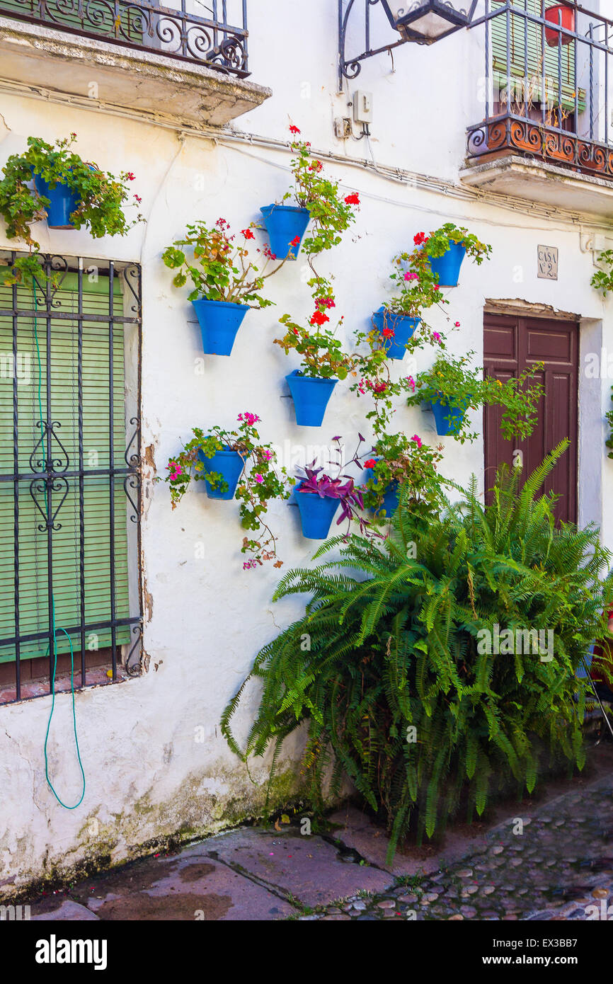 Windows français typique avec des grillades et fleurs décoratives dans la ville de Cordoba, Espagne Banque D'Images
