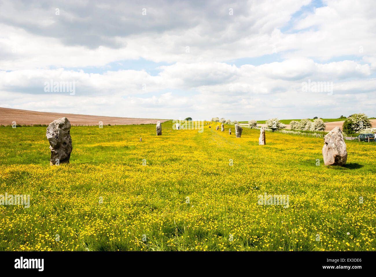 Avebury Stone Circle néolithique site. L'Avenue West Kennet de pierres menant à la main, le cercle de pierres (invisible). Vue grand angle, nuageux. Banque D'Images