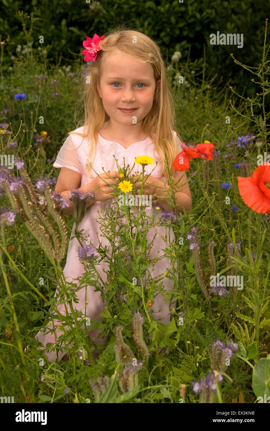 7 ans, fille, debout dans son école pour le jardin, la faune, Haslemere Surrey, UK. Banque D'Images