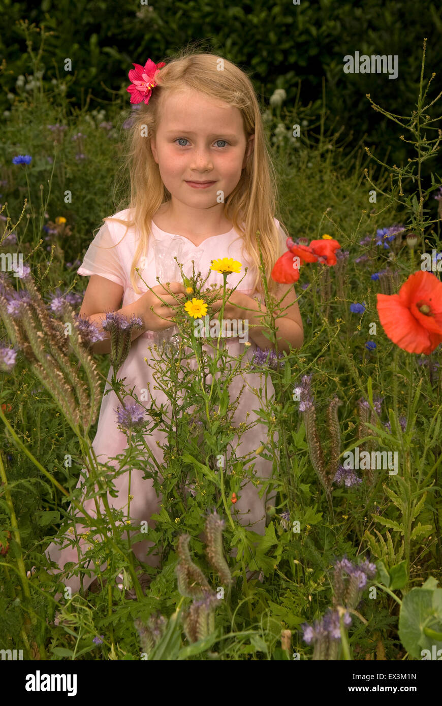 7 ans, fille, debout dans son école pour le jardin, la faune, Haslemere Surrey, UK. Banque D'Images