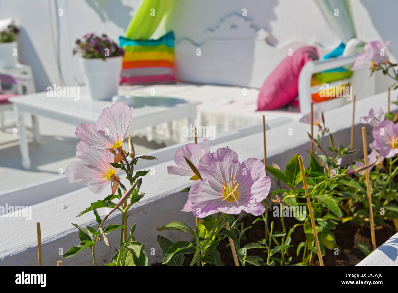 Table confortable et un canapé dans un café, l'accent sur les fleurs Banque D'Images