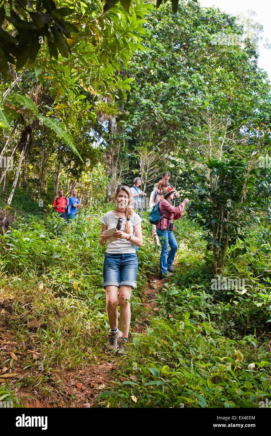 Portrait vertical d'un groupe de touristes marchant à travers le Parc National de Topes de Collantes à Cuba. Banque D'Images