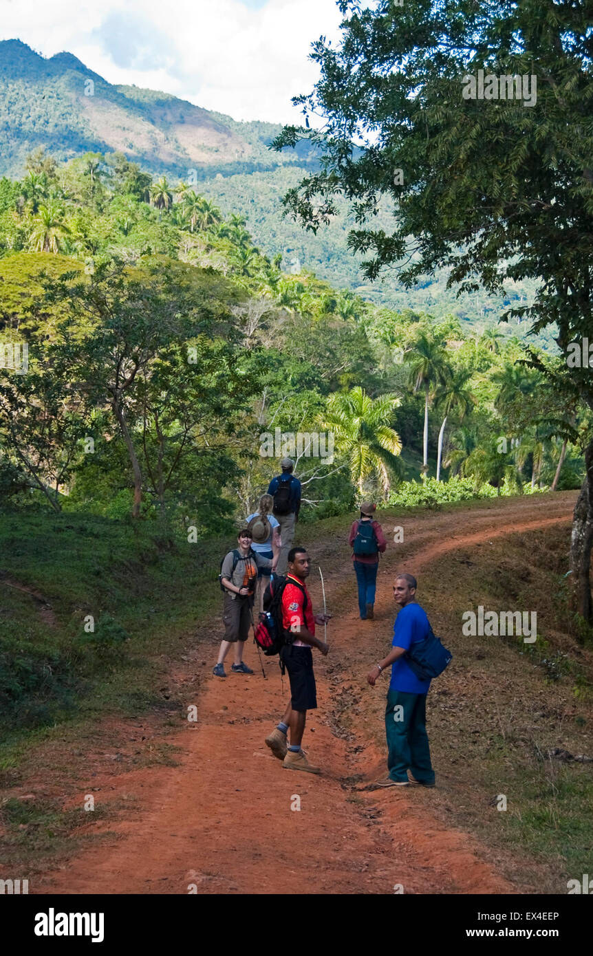 Portrait vertical d'un groupe de touristes marchant à travers le Parc National de Topes de Collantes à Cuba. Banque D'Images