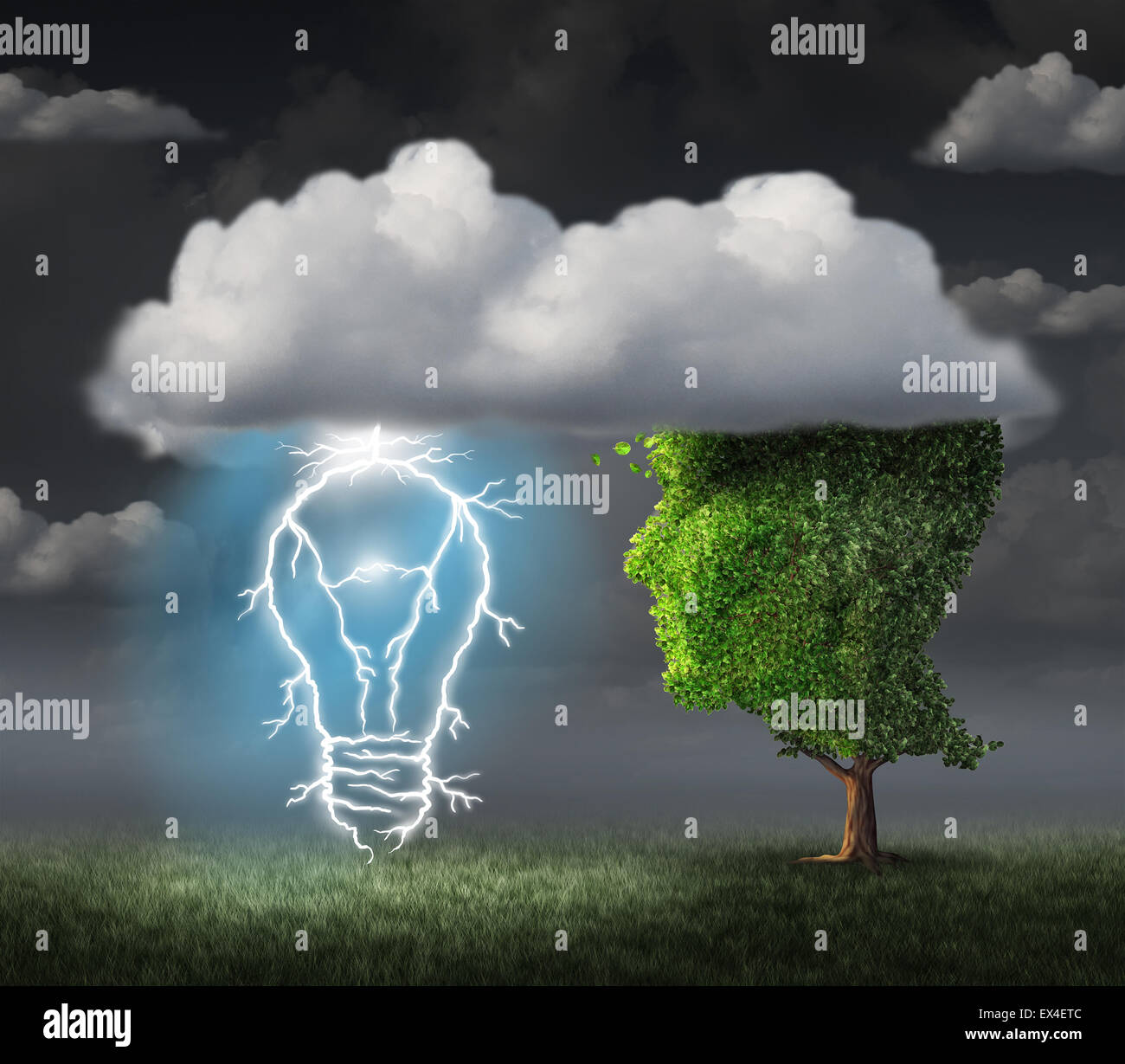 Idée d'entreprise concept comme un arbre en forme de visage sous un nuage avec un éclair électrique en forme d'ampoule allumée comme une métaphore pour l'inspiration créative et de succès. Banque D'Images