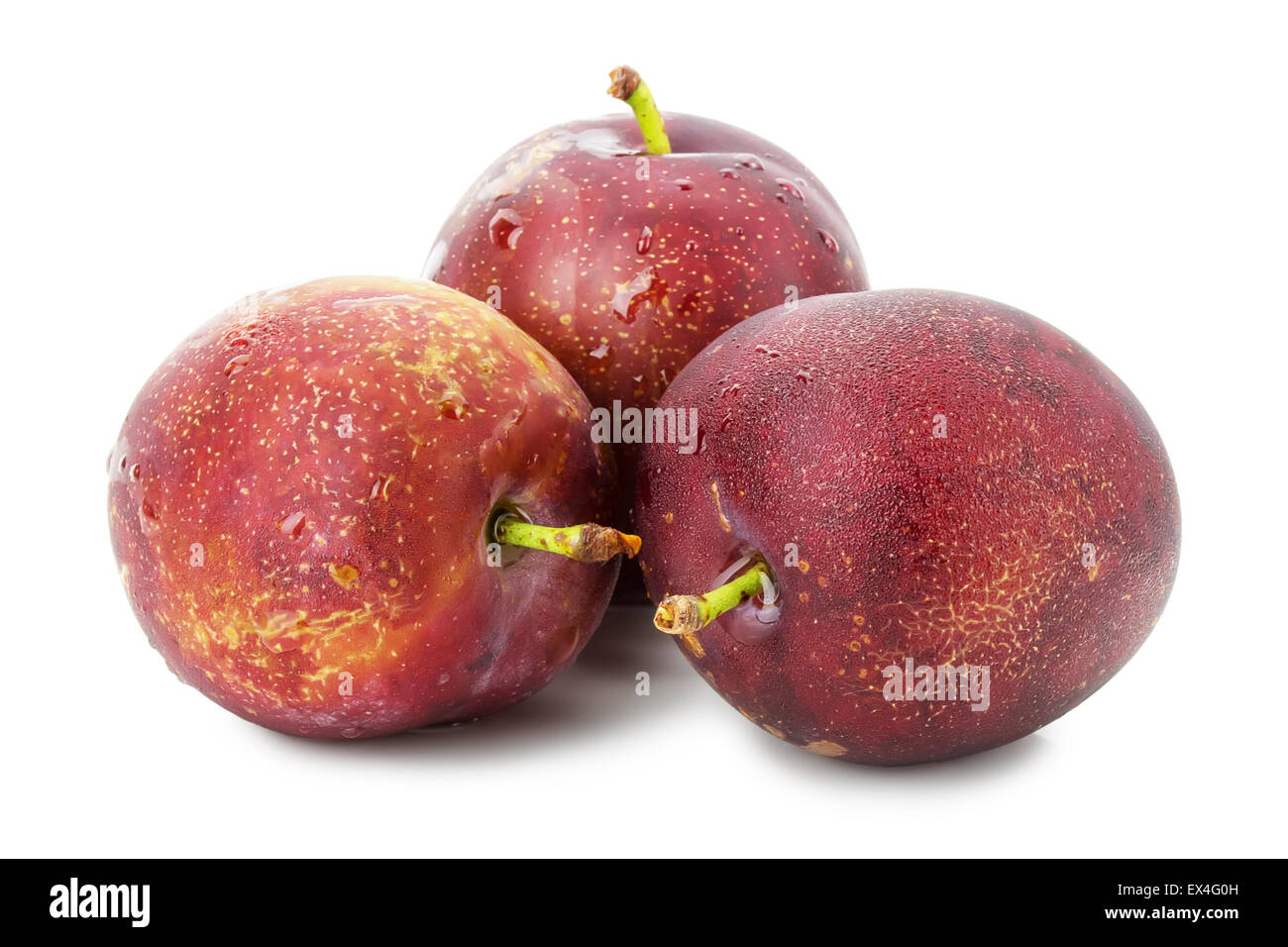 Les prunes violettes isolé sur le fond blanc. Banque D'Images