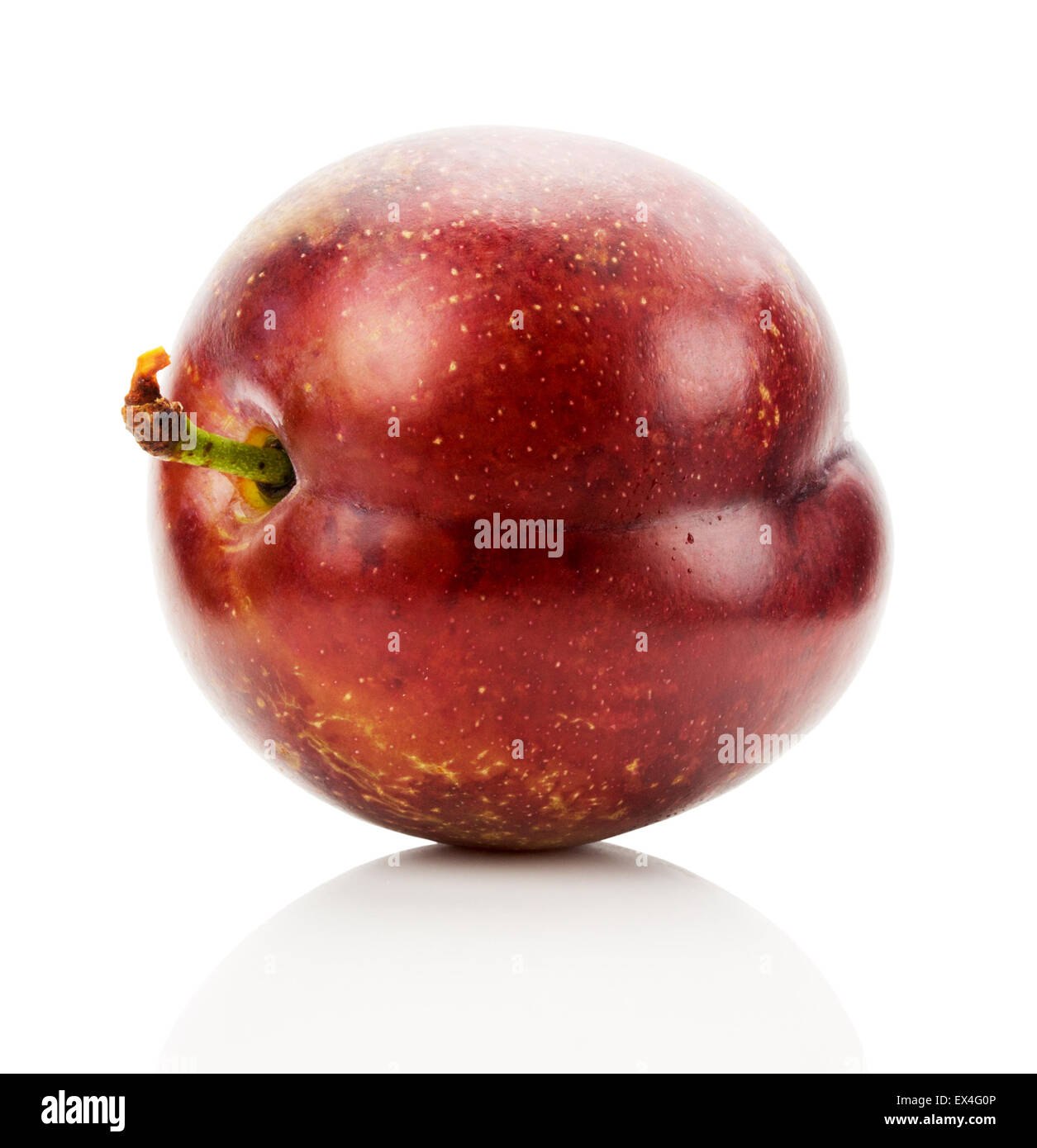 Plum isolé sur le fond blanc. Banque D'Images