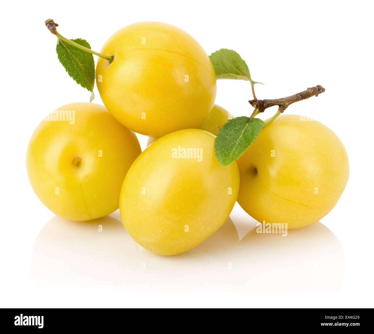 Les prunes cerise jaune isolé sur fond blanc. Banque D'Images