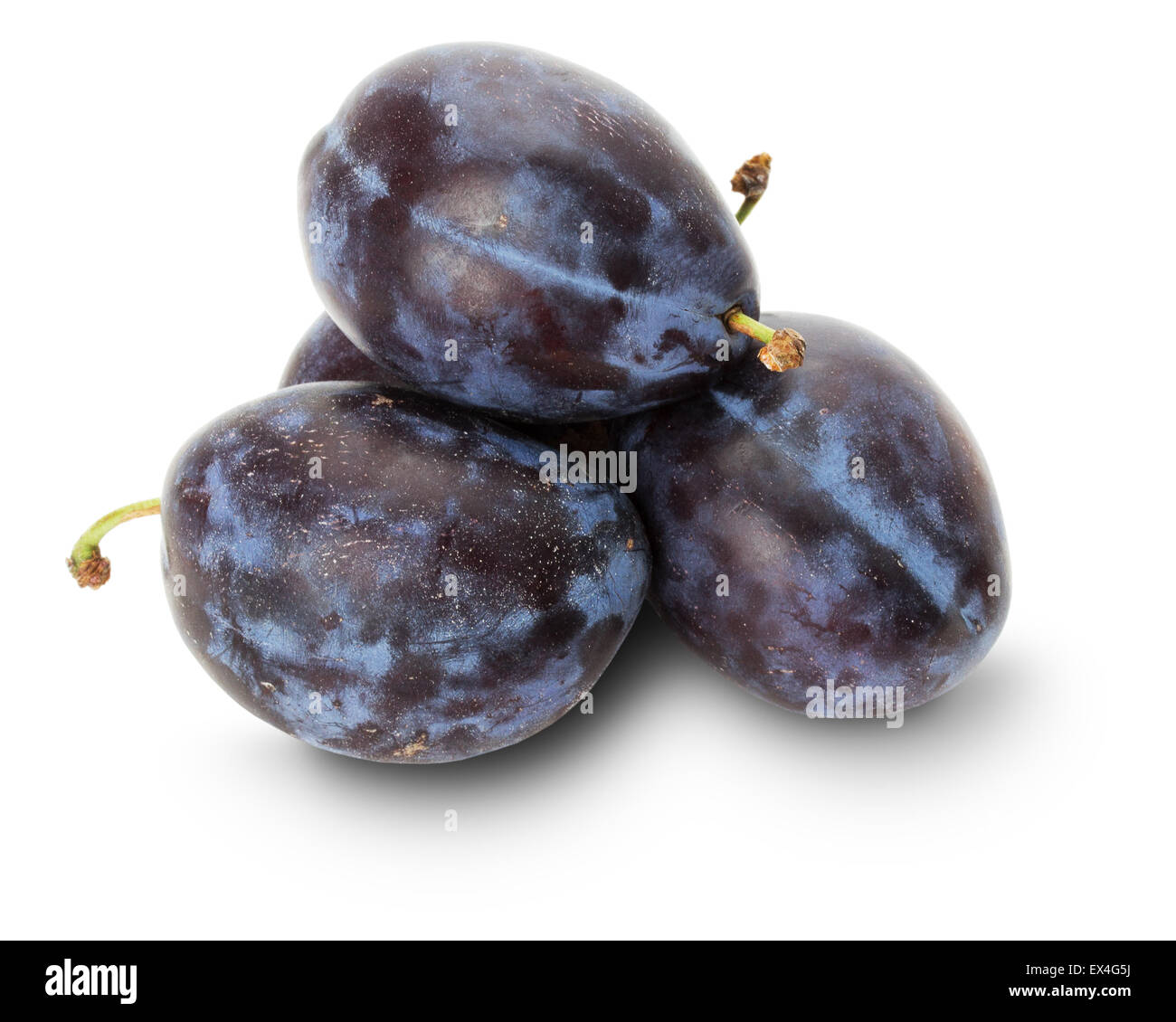 Les prunes violettes isolé sur le fond blanc. Banque D'Images