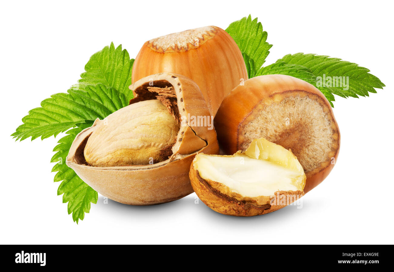 Les noisettes avec des feuilles sur le fond blanc. Banque D'Images