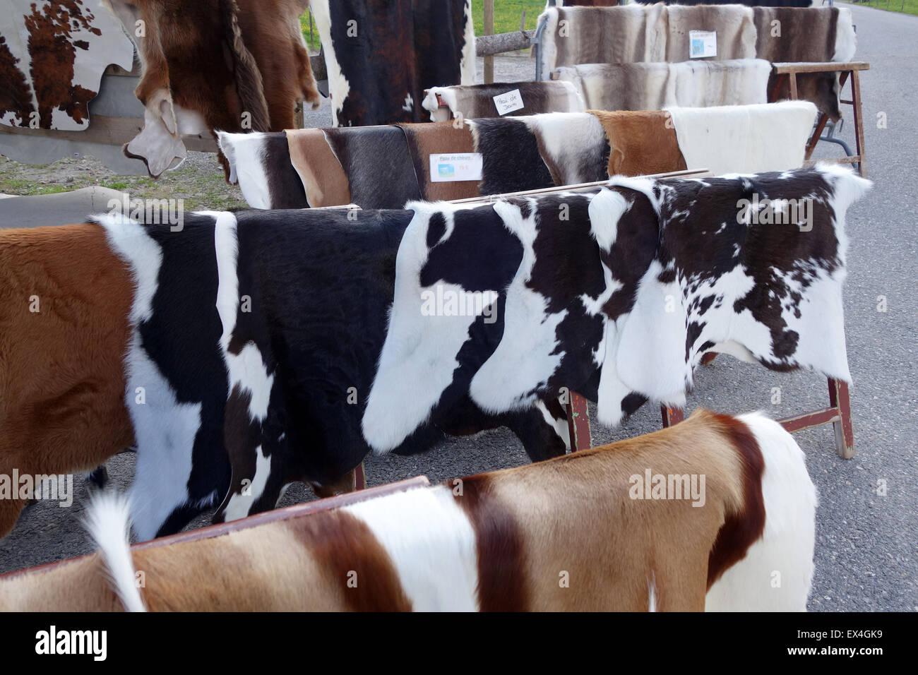 Cow & animal bétail Chèvre cuirs de vache à vendre magasin de souvenirs le Col des Aravis Rhone-Alpes France French Banque D'Images