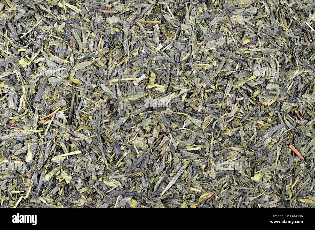Close up de thé vert Sencha) Dépliants (, détail, macro, full frame, horizontal, juste au-dessus Banque D'Images