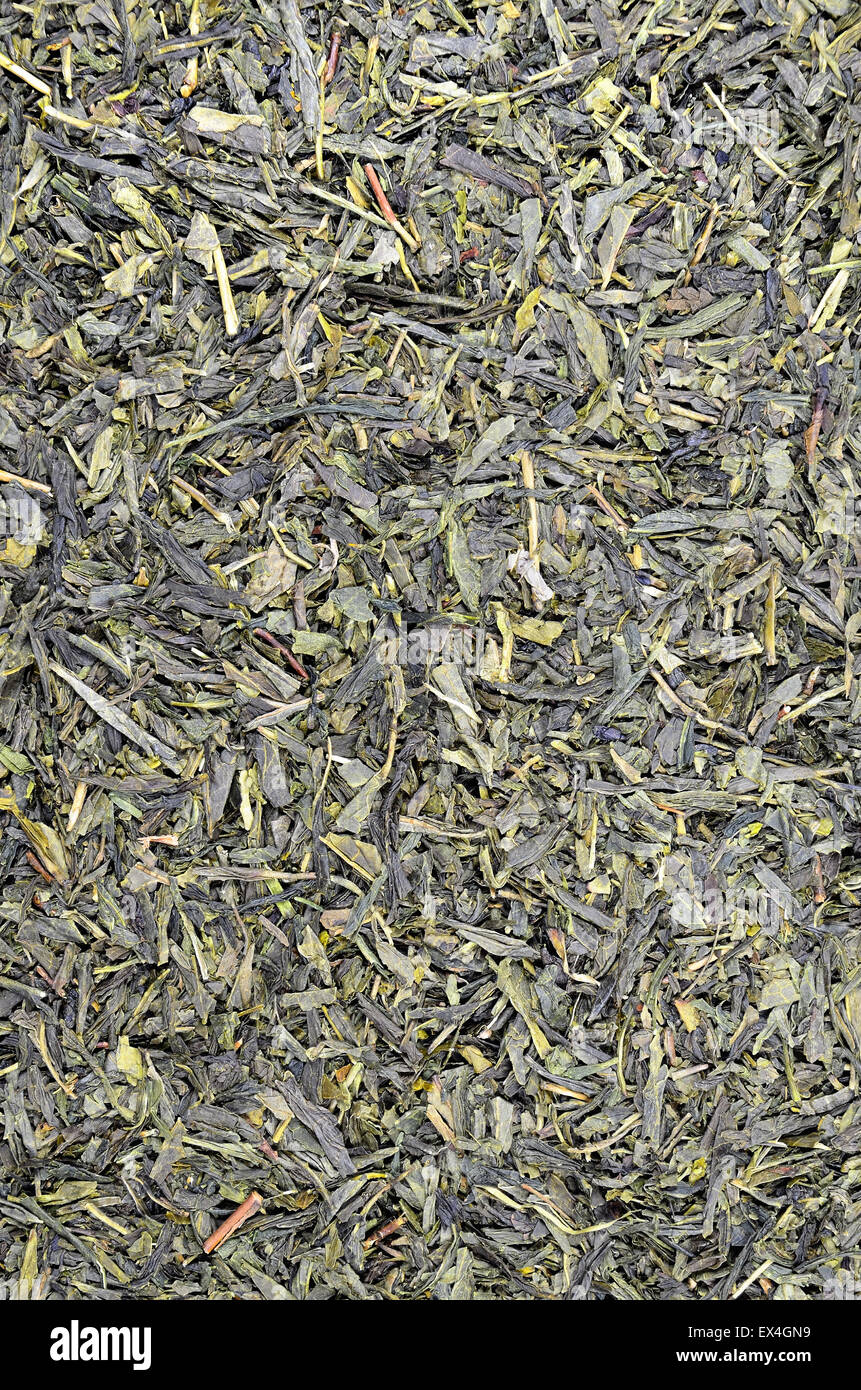 Close up de thé vert Sencha) Dépliants (, détail, macro, full frame, directement au-dessus, vertical Banque D'Images