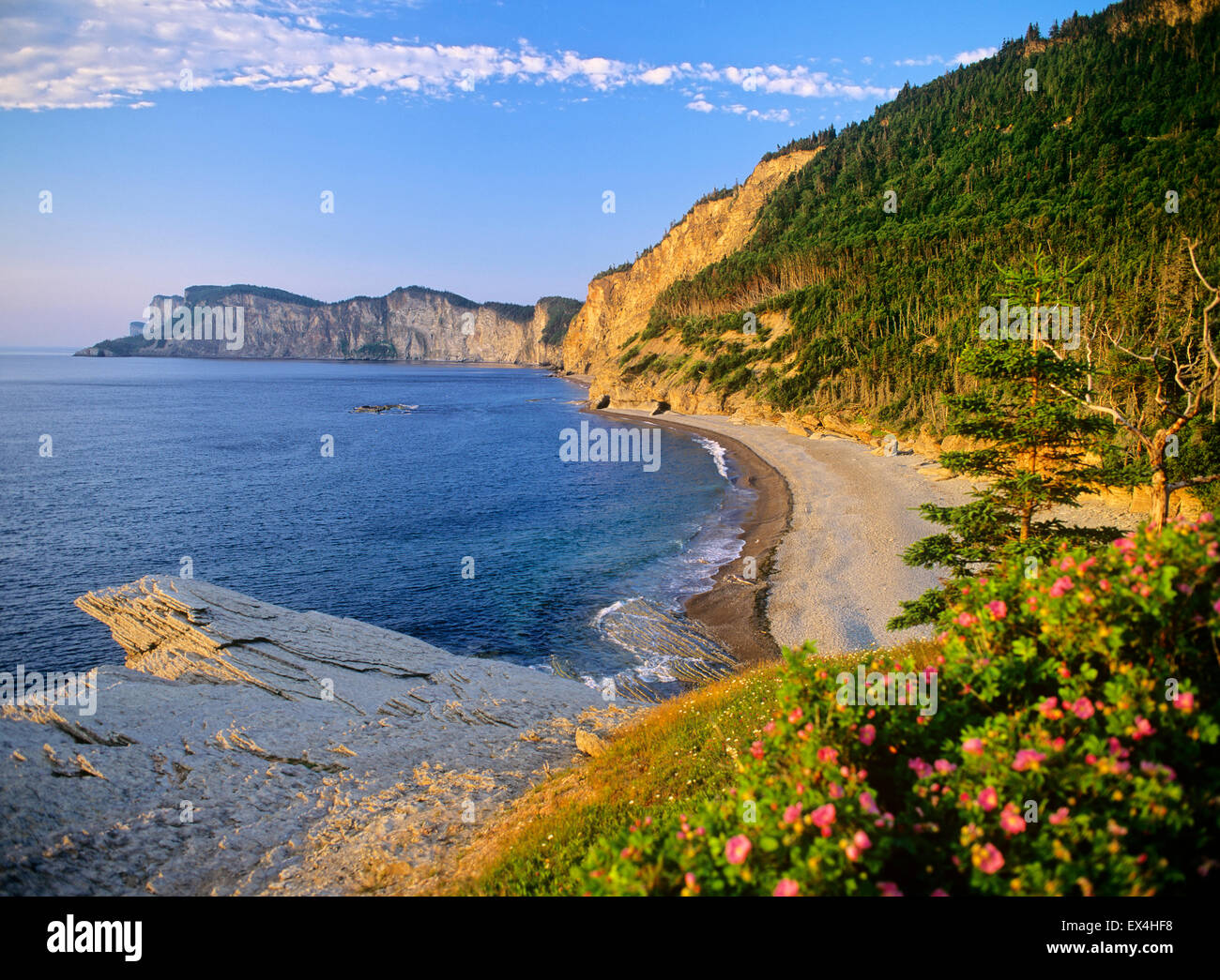 Amérique du Nord, Canada, Québec, Gaspésie, Forillon National Park, Cap-Bon-Ami, le cap Bon Ami, les Appalaches Banque D'Images