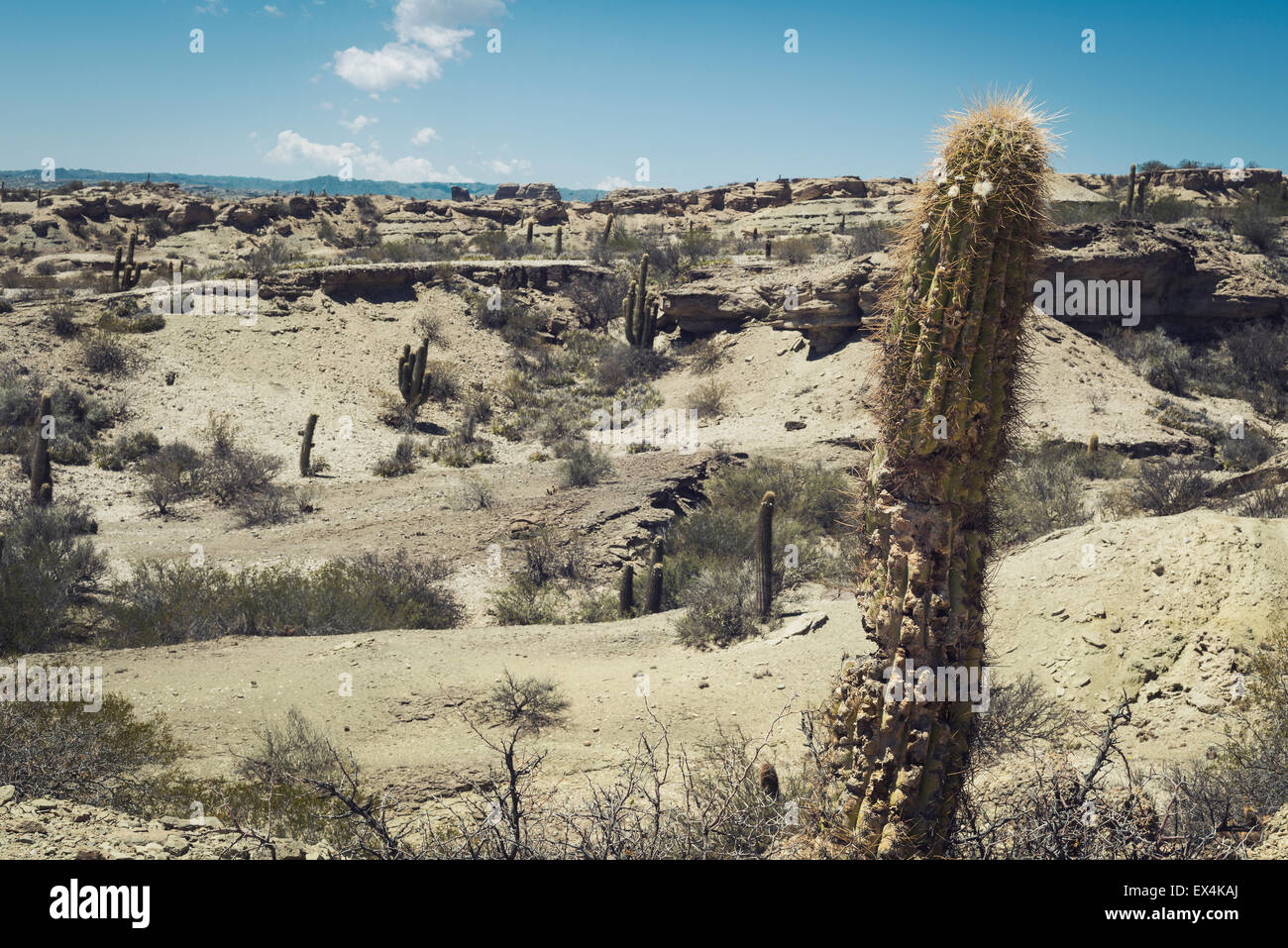 Le Parc Provincial Ischigualasto, Valle de la Luna (vallée de la Lune) Banque D'Images