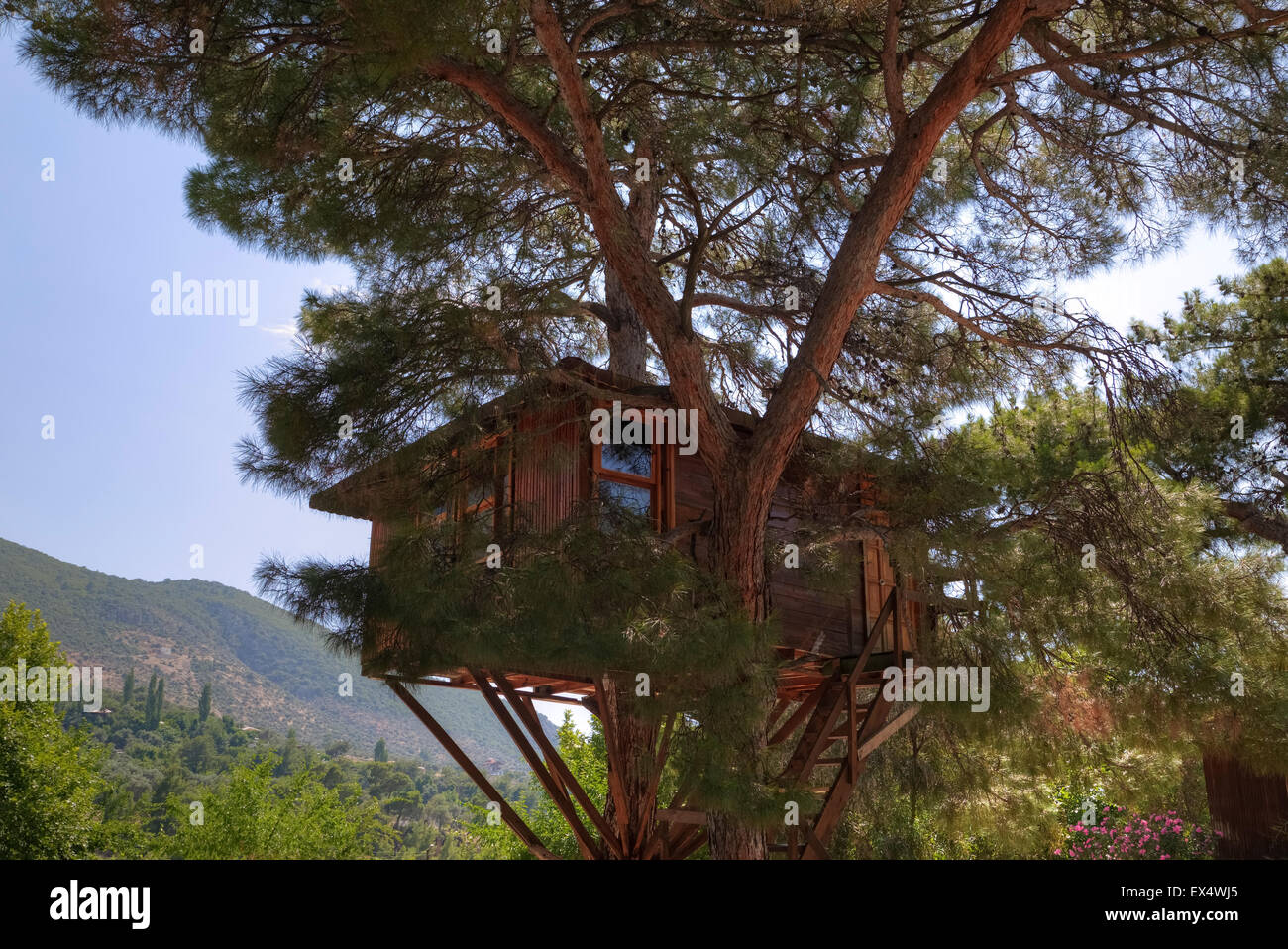 Maison de l'arbre, Canyon Saklikent, Mugla, Turquie, Mer Egée Banque D'Images