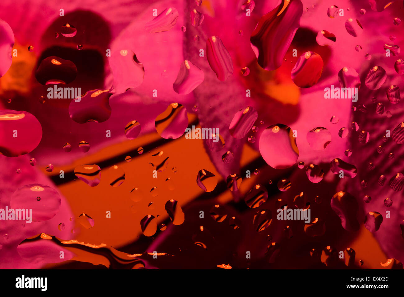Résumé fond de couleur avec des gouttes d'eau sur verre avec fleur en arrière-plan Banque D'Images
