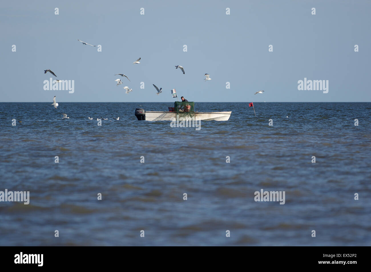 Le pêcheur de la mer Baltique de la baie de Pärnu Estonie 29.06.2015 Valgerand Banque D'Images
