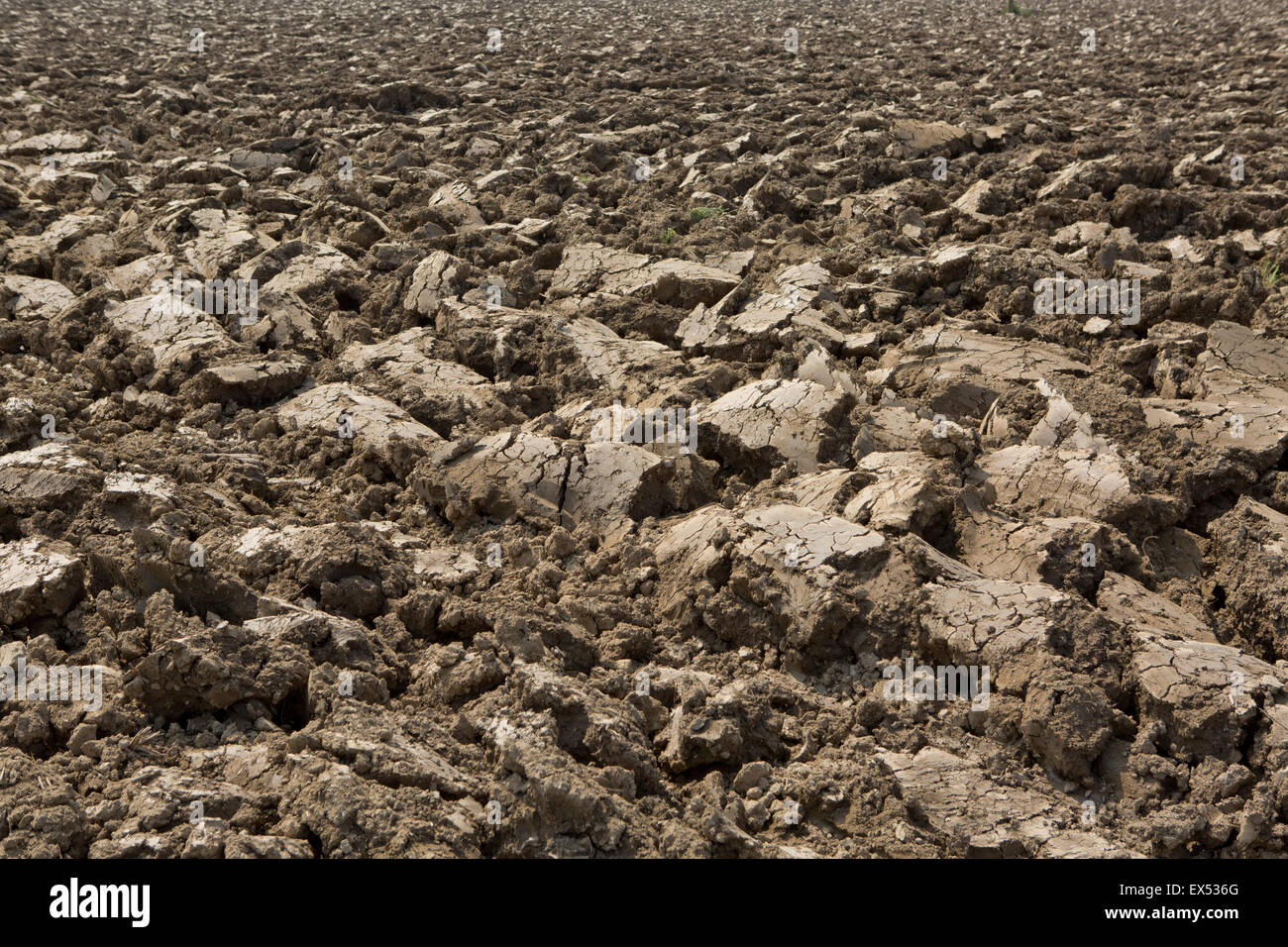 Travailler dans les champs, le labourage du printemps, Lodi, Lombardie, Italie Banque D'Images