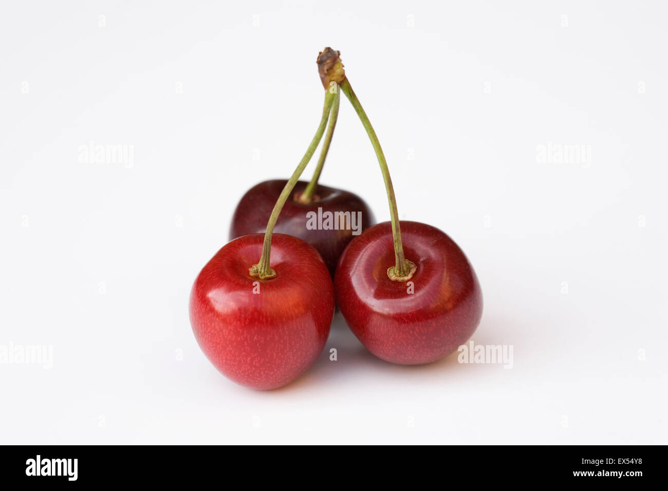 Trois cerises sur fond blanc. Banque D'Images