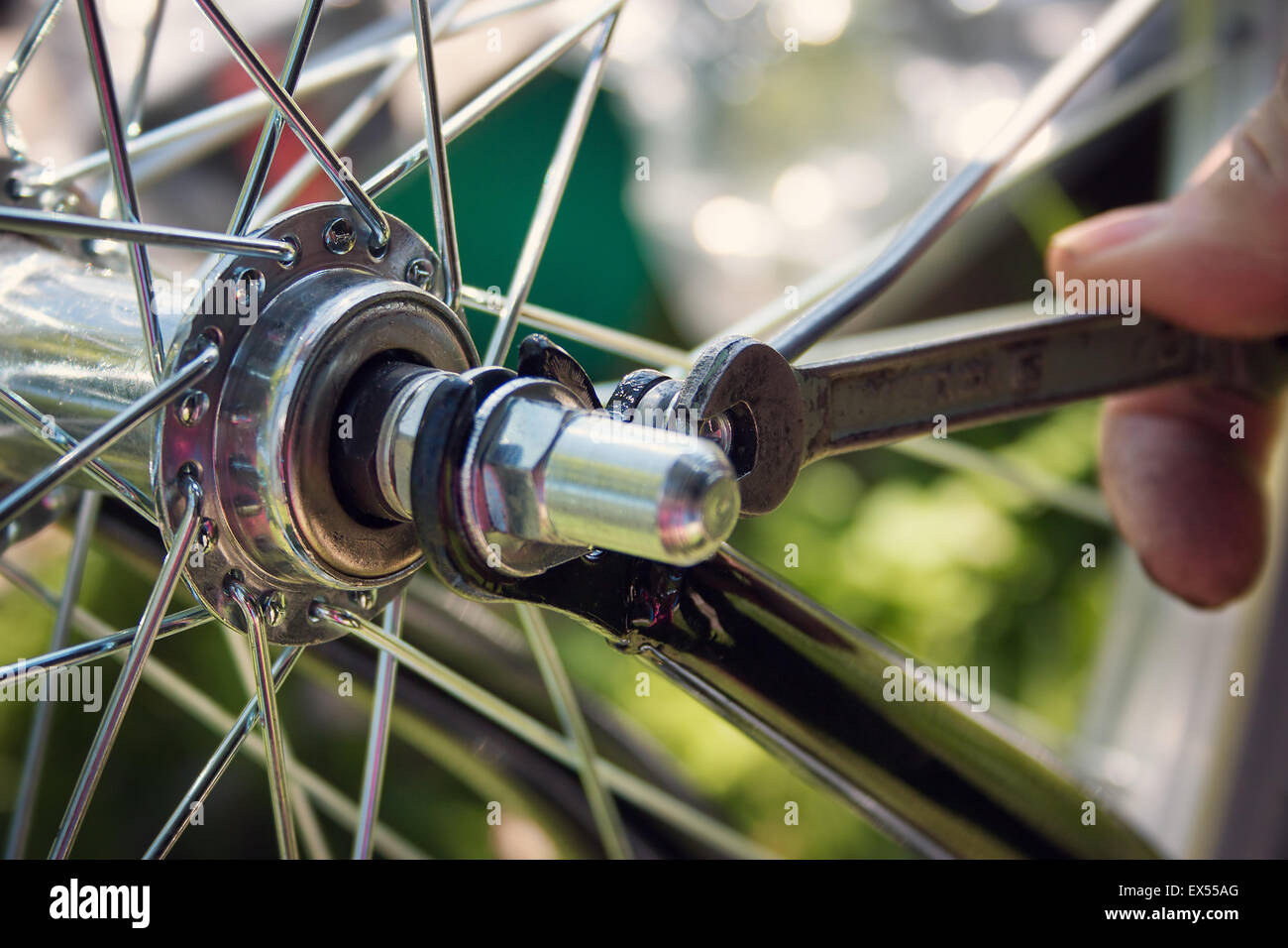 Roue de vélo Banque D'Images