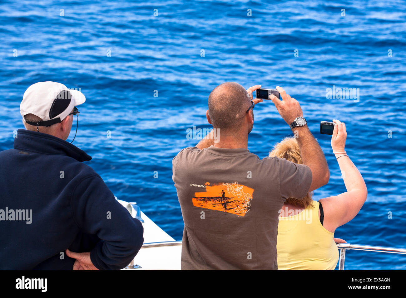 ESP, l'Espagne, les Canaries, l'île de La Palma, tour en bateau sur la côte ouest, les touristes à regarder et photographier les dauphins. ESP Banque D'Images