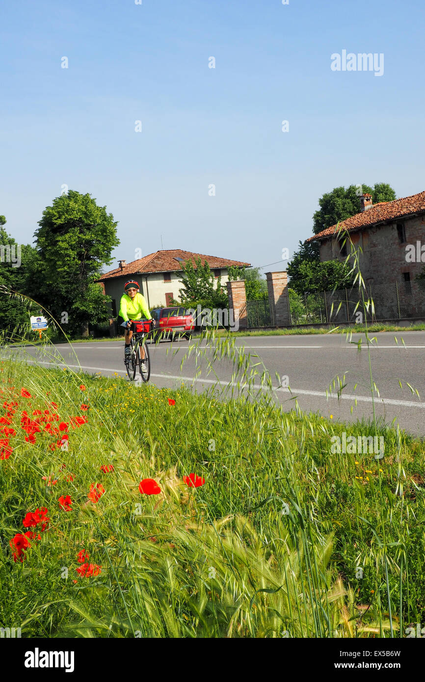 Coquelicots fleurs sur le bas-côté de la route et une femme touring cyclist riding par. Banque D'Images