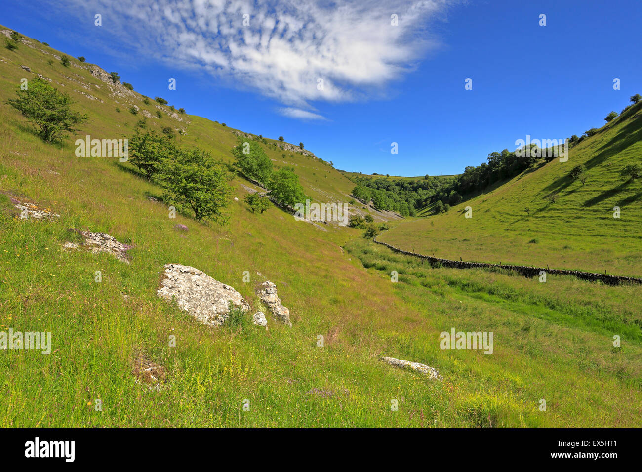 Dale Lathkill vallée sèche, parc national de Peak District, Derbyshire, Angleterre, Royaume-Uni. Banque D'Images