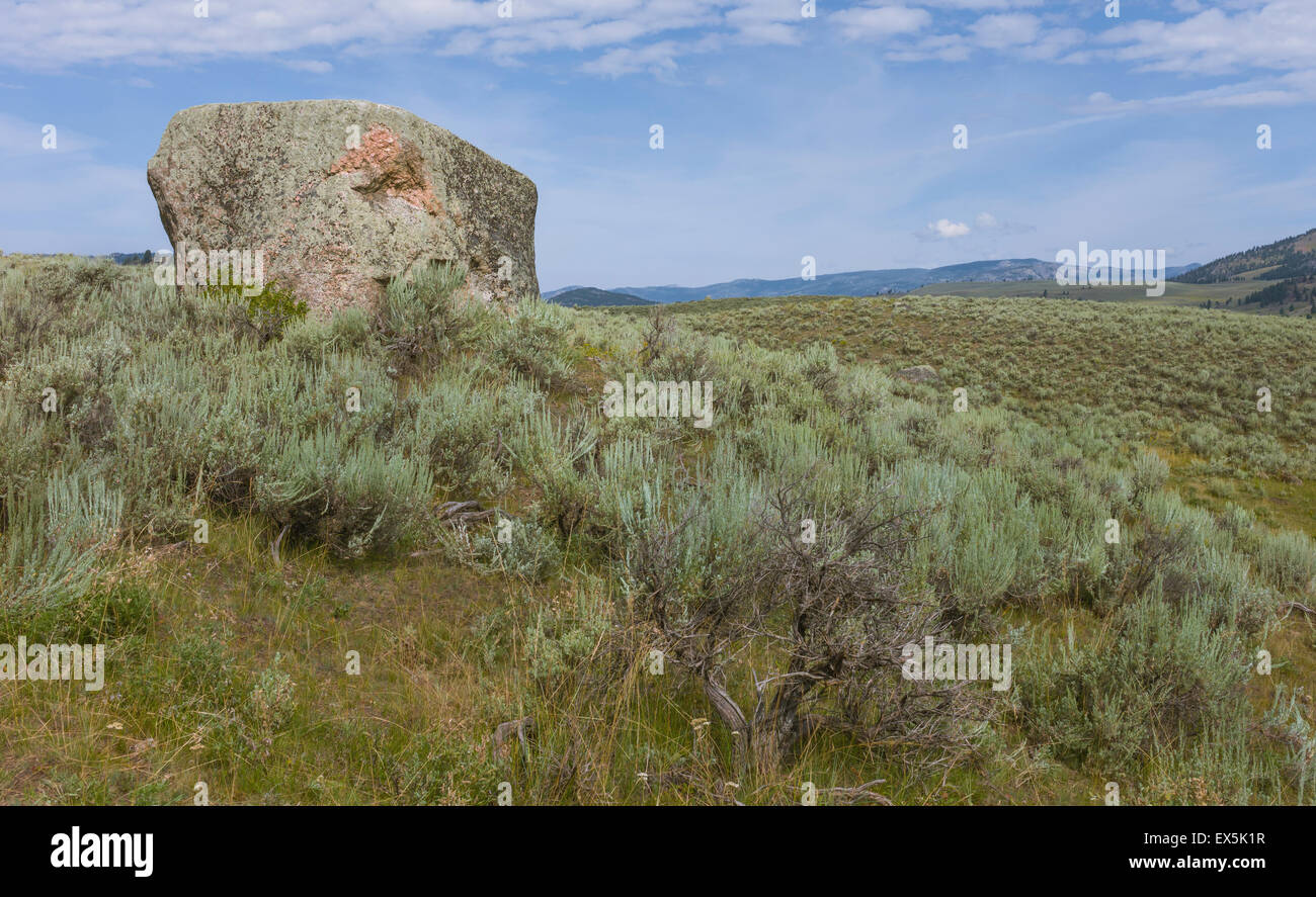 Le Parc National de Yellowstone sur une journée ensoleillée montrant les montagnes, l'aride paysage vallonné. Banque D'Images