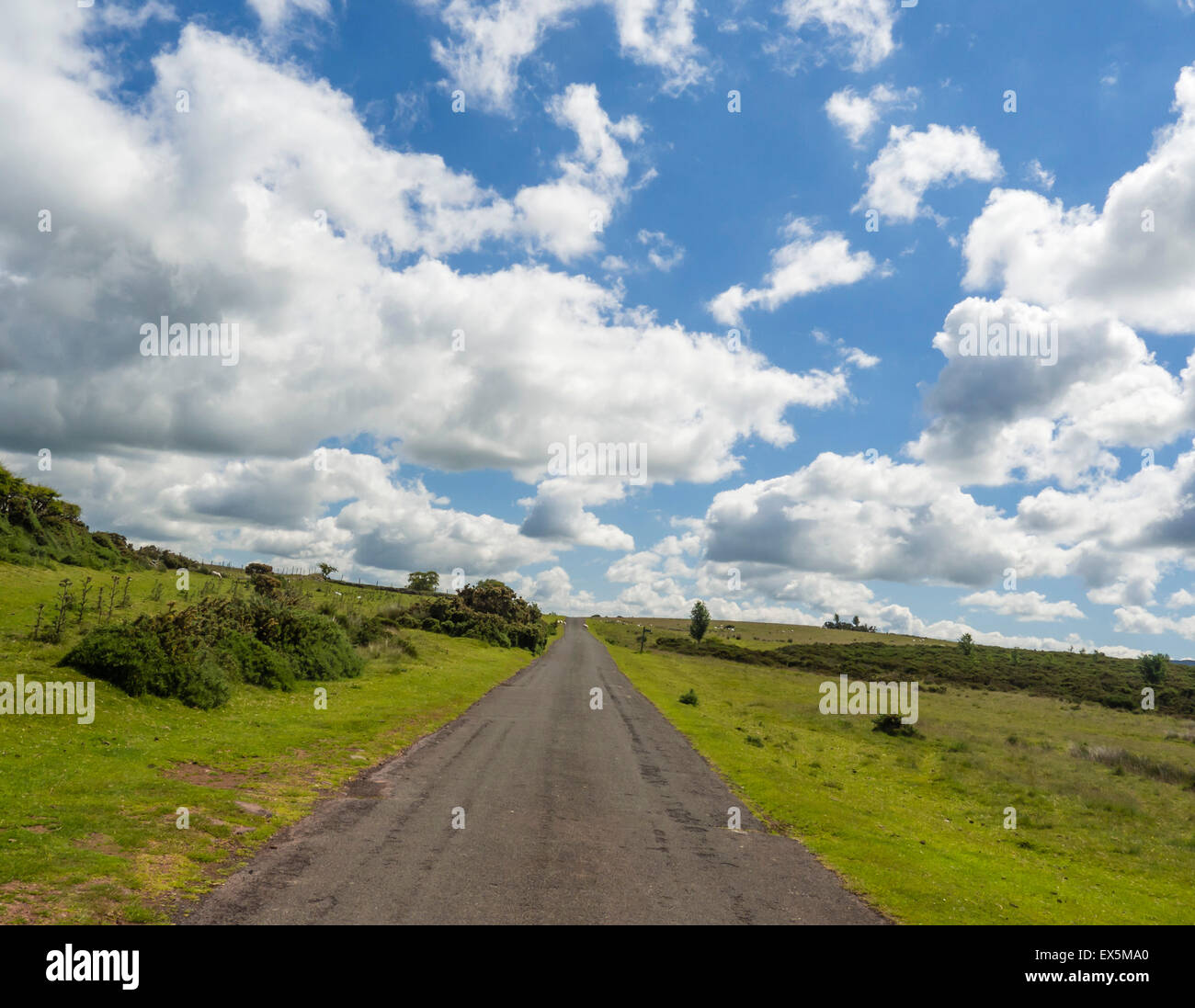 Route dans le parc national de Brecon Beacons, Powys, Wales, UK Banque D'Images