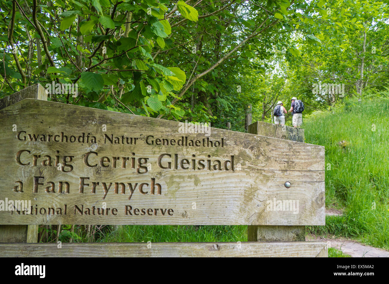 Inscrivez-vous dans l'Gleisaid Craig Cerrig une Frynych Ventilateur National Nature Reserve, parc national de Brecon Beacons, Powys, Wales, UK Banque D'Images