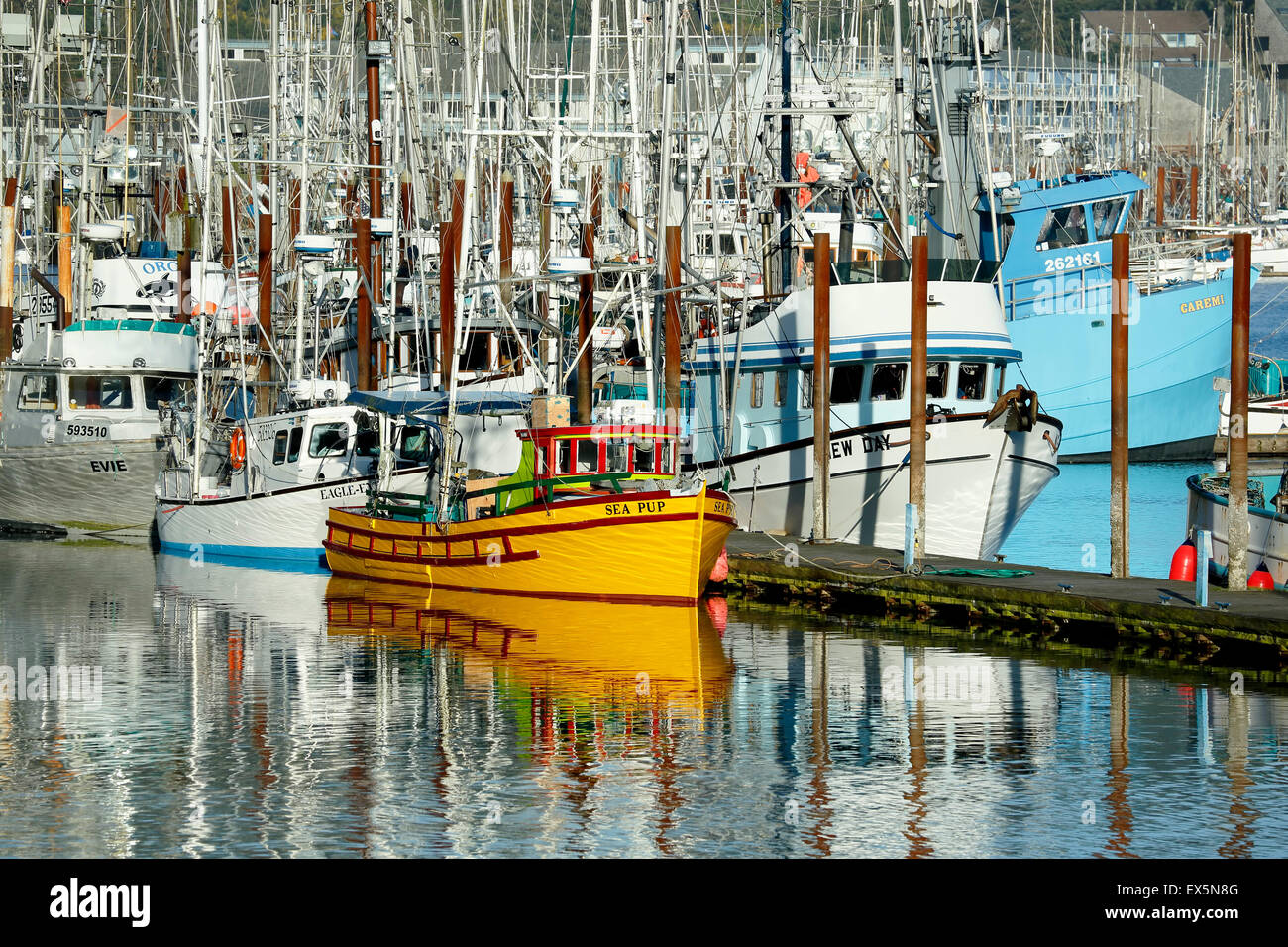 Des bateaux de pêche, port de Newport, Oregon, USA Banque D'Images