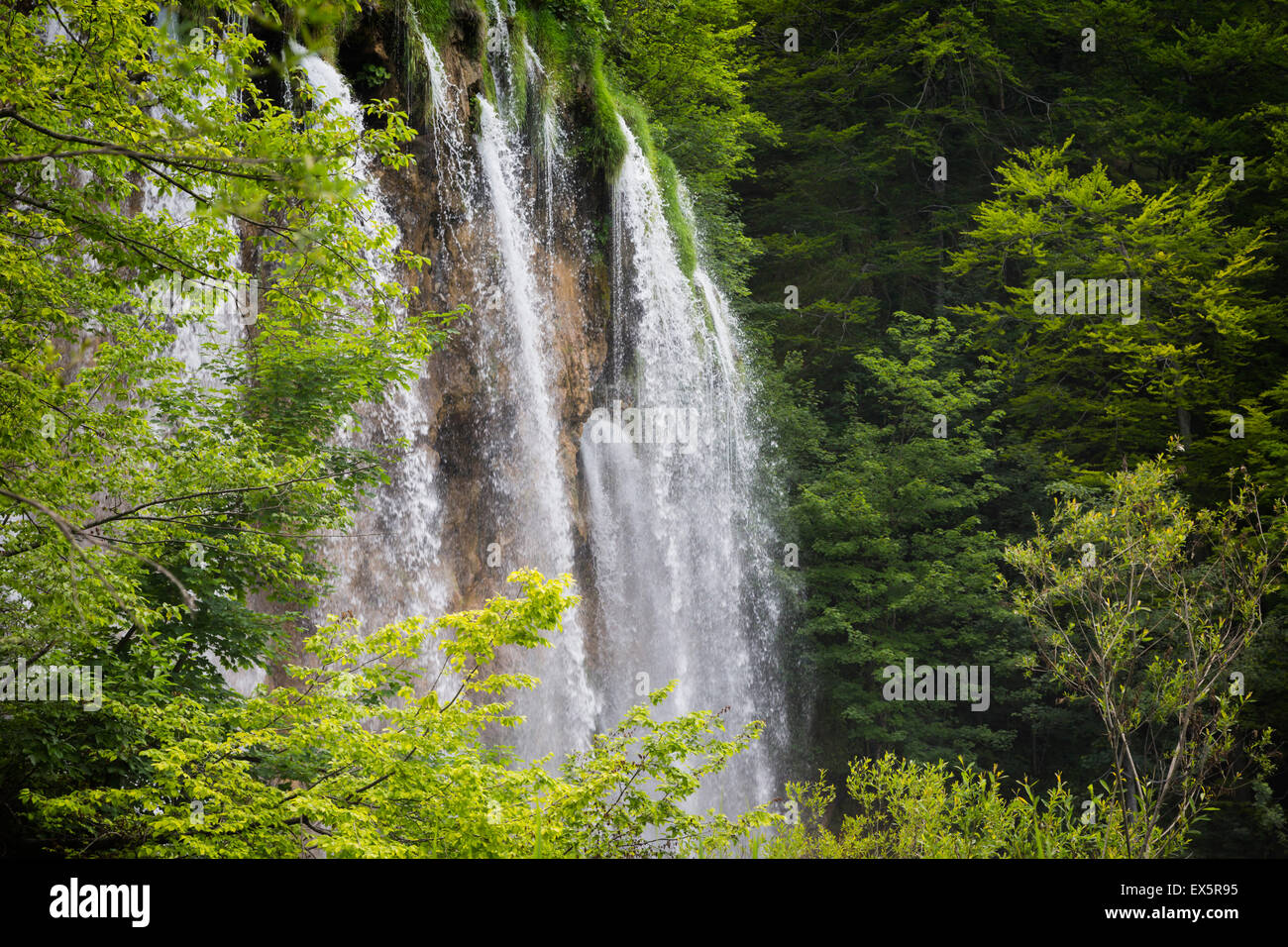 Le parc national des Lacs de Plitvice, Lika-Senj & Karlovac County, Croatie. Cascades dans le parc. Banque D'Images