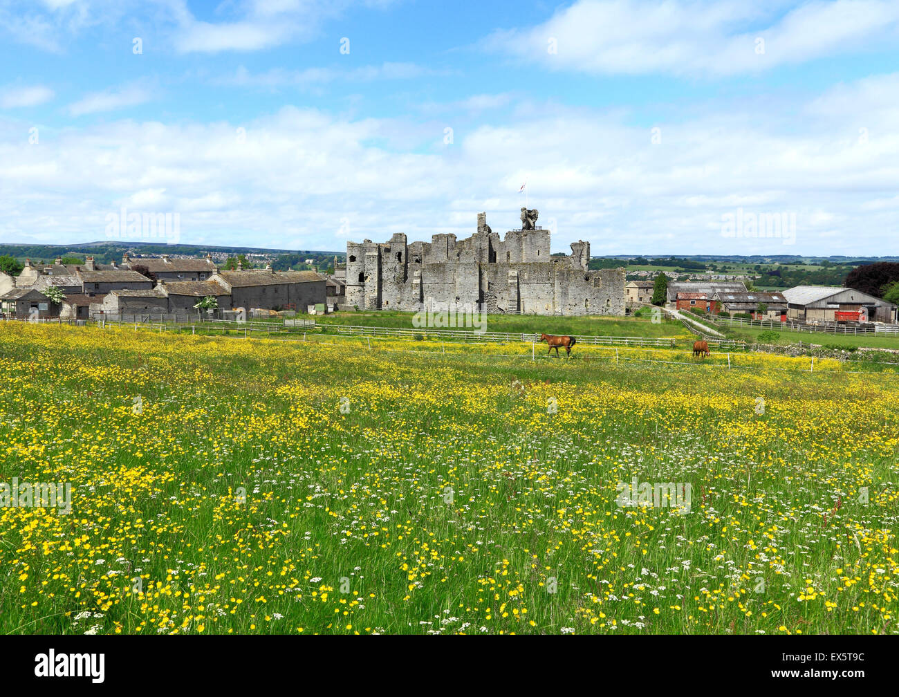 Château de Middleham, forteresse médiévale du roi Richard 3ème, Yorkshire Angleterre Royaume-uni Yorkshire Dales National Park Banque D'Images