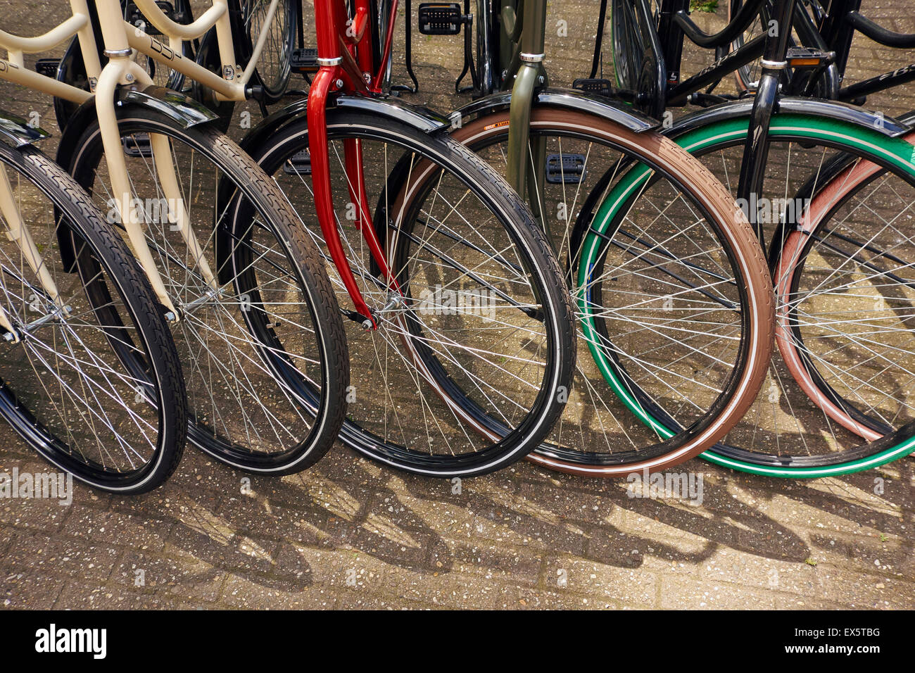 Une rangée de roues de bicyclette de couleur. Banque D'Images