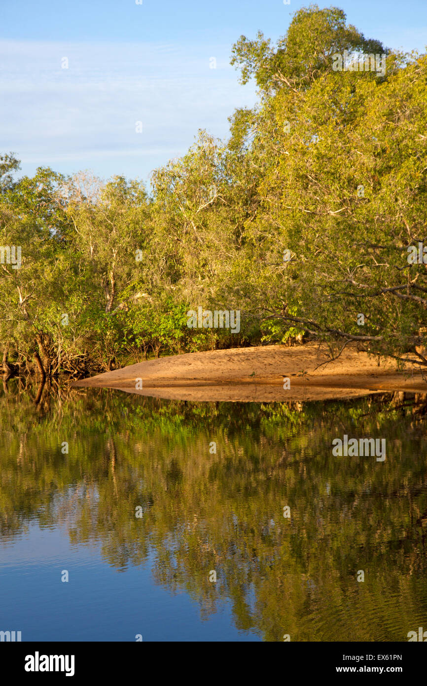 Billabong à Djarradjin Muirella Park dans le Kakadu National Park Banque D'Images