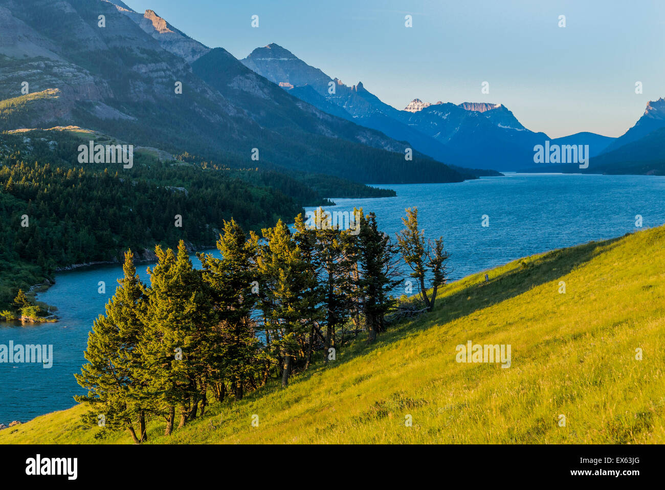 Le lac Waterton Supérieur, Waterton Lakes National Park, Alberta, Canada Banque D'Images