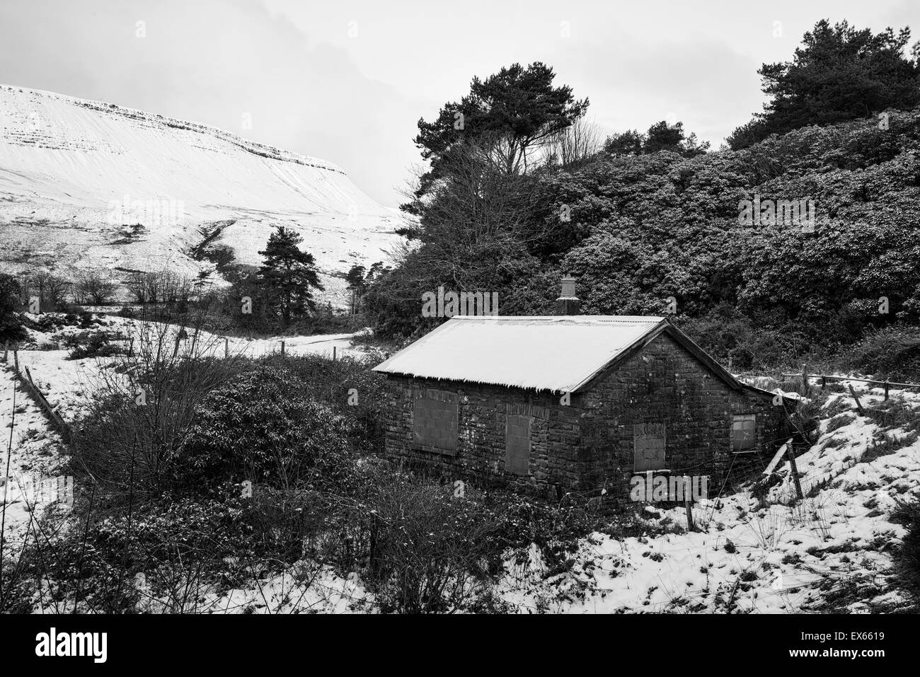 Cabane abandonnée en hiver paysage forestier en noir et blanc Banque D'Images